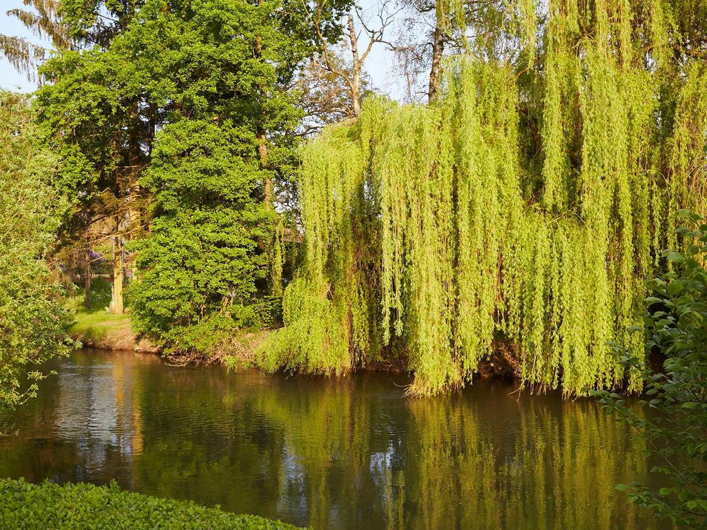 Les Pres D'Ondine Hotel Sélestat Екстериор снимка
